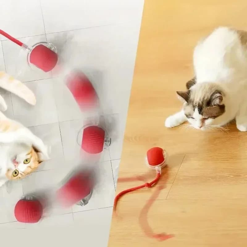 Cat Interactive Ball Toy, Automatic Rolling Ball with Tail, Rechargeable Smart Pet Interactive Toy, Intelligent Mouse for Cat thumbnail 3
